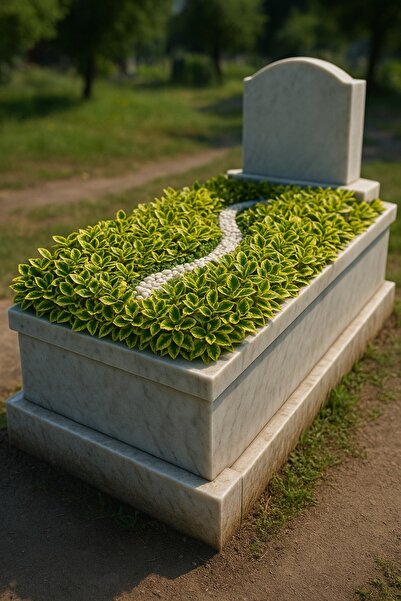 Tunç Botanik MEZAR - KABİR SARI BİTKİ SETİ - 10 ADET GOLD TAFLAN 20-30 CM