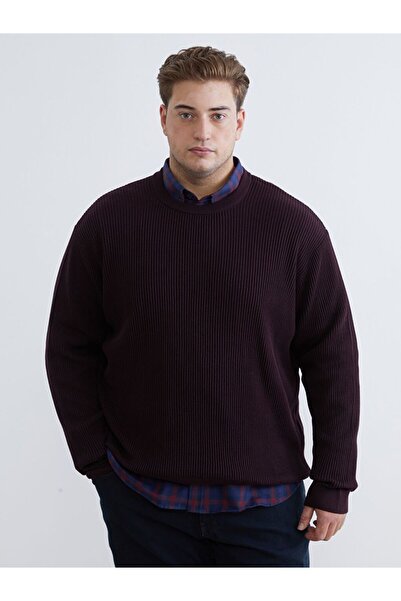 LC Waikiki Crew Neck Men's Knitwear Sweater