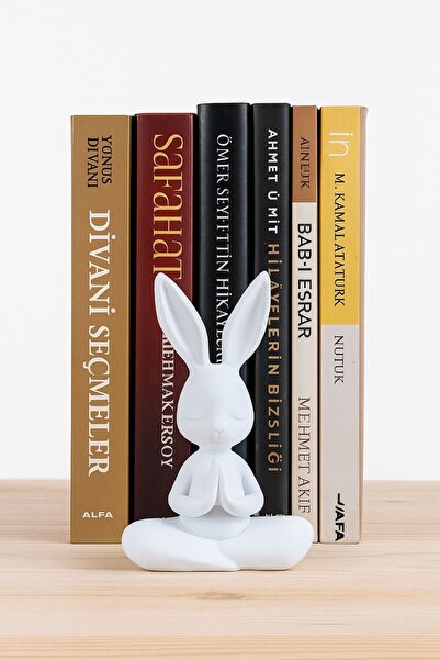bycaeldesign Bunny Yoga Yapan Tavşan Dekoratif Ürün , Modern Ev & Ofis dekora...