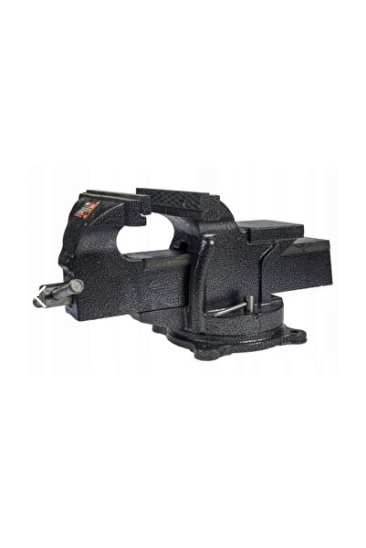 Champion Menghina rotativă 100mm