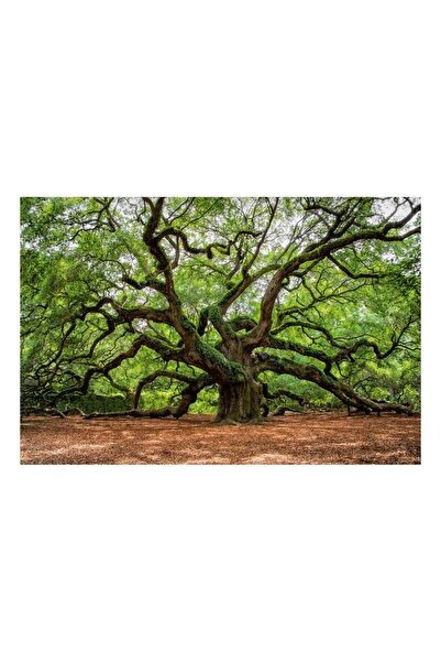 Imageland Imprimeu artistic pe pânză 80x120 cm - Copac ramificat