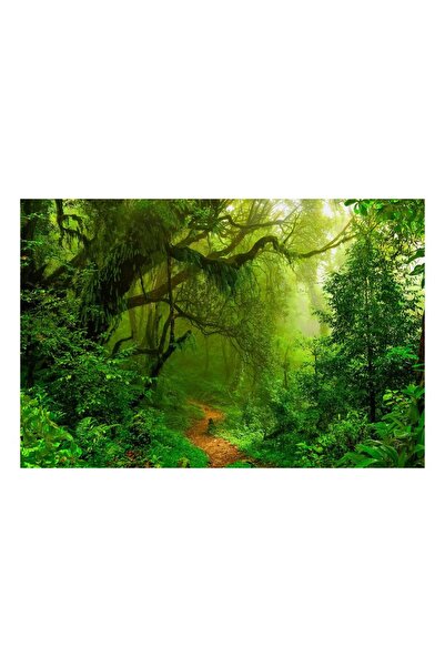 Imageland Imprimeu acrilic 80x120 cm - Pădure