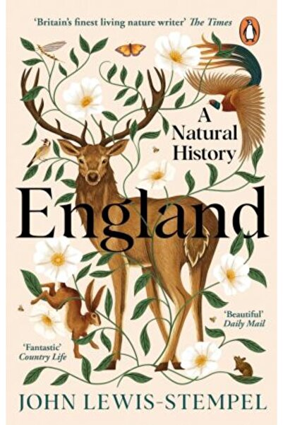 PENGUİN Англия: История