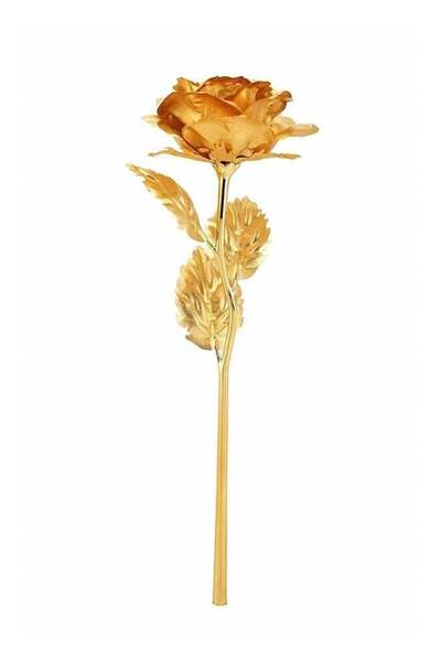Generic Gold Dipped Natural Golden Rose with Gift Box Men & Women for Best Valentine Gift - 9 inches Approx