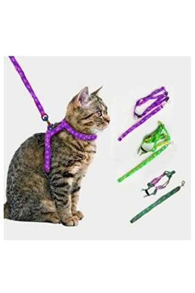 ETT Pet Cat Collar