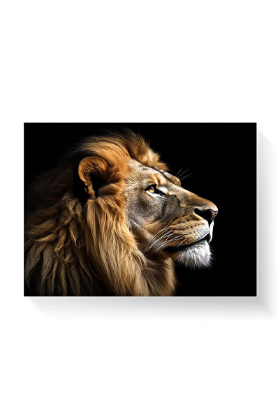 Printees Painting - Majestic Lion - Canvas on frame - 40x30 cm