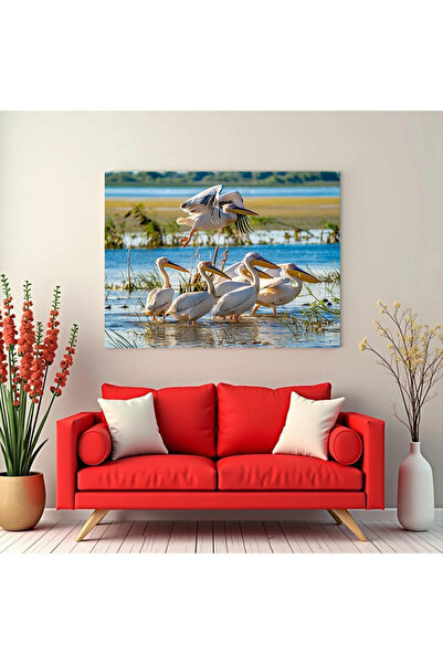 Printees Tablou - Pelicani în Delta Dunării - Canvas pe șasiu - 40x30 cm