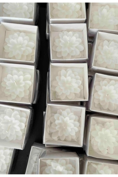 Birlik 20 Adet Lotus mum beyaz kutulu söz nişan doğum günü hediyelik