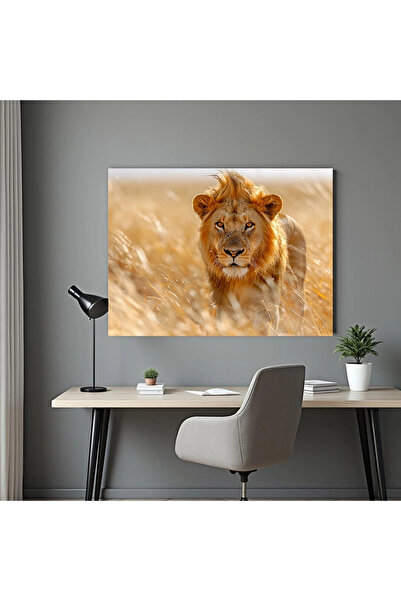 Printees Tablou - Leu în savană - Canvas pe șasiu