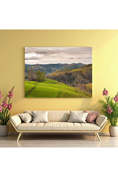 Printees Painting - Landscape from Apuseni - Canvas on frame