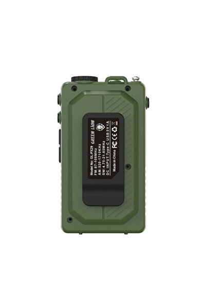 Green Lion راديو فوييجر المحمول مع مكبر صوت بلوتوث - أخضر