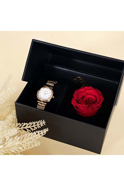LIGANT Women's gold stainless steel watch