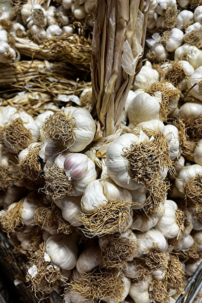 PeraMila Hakiki Kastamonu Taşköprü Sarımsağı Tarladan Sofralarınıza İri Boy Sarımsak 1 Kg Yeni Sezon