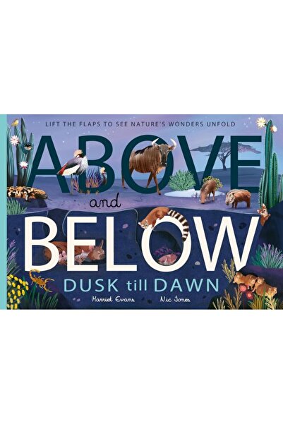 Little Tiger Press Above and Below: Dusk till Dawn: Lift the flaps to see nature's wonders unfold