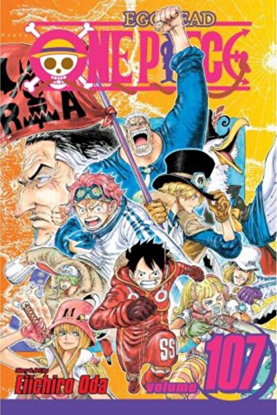 Viz Media One Piece Vol. 107