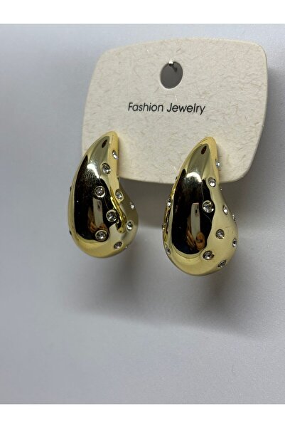 FashionAccessory Steel Bijouterie Earrings