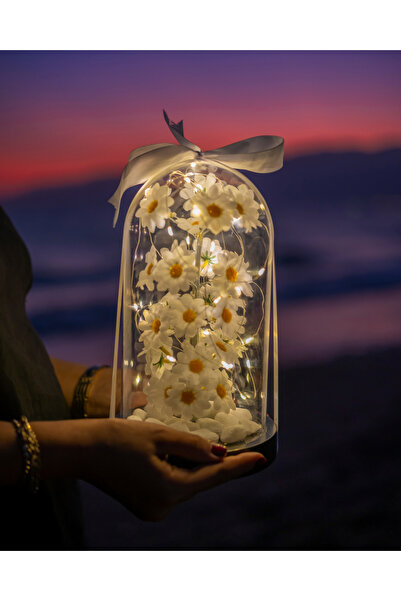 BYSHOPPİNG Büyük Boy Dekoratif Led Işıklı Papatya Fanusu Sevgiliye Özel Öğret...