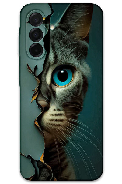 MRCİLETİSİM Samsung Galaxy A17 Case Hd Pattern Printed Back Cover - Blue Cat