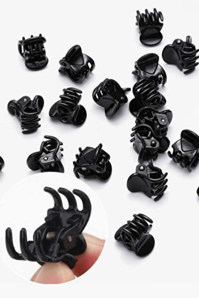 Design 4N 10'lu Mini Tırmık Toka