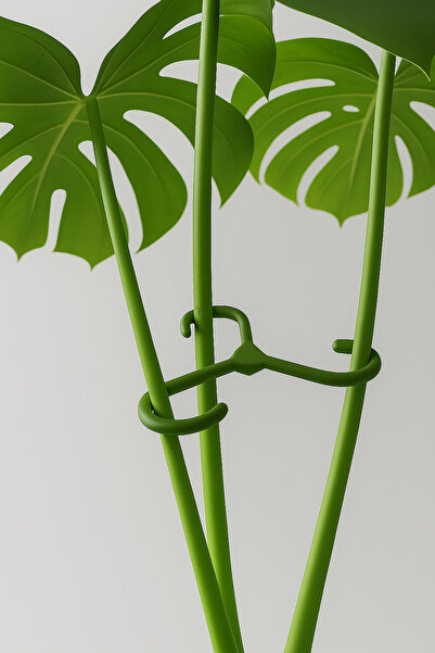 TTS DİZAYN Bitki Tutucu Klips Seti - Dikey Büyüme İçin Gövde Destek ve Sabitleme Klipsi (4’lü)