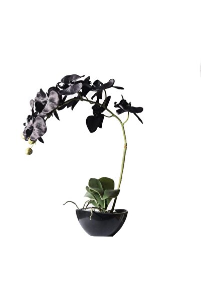 SUPERGREENS Orhidee artificială Phalaenopsis reală 48cm