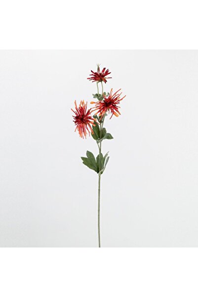 SUPERGREENS Artificial plant Hamamelis Red 82 cm