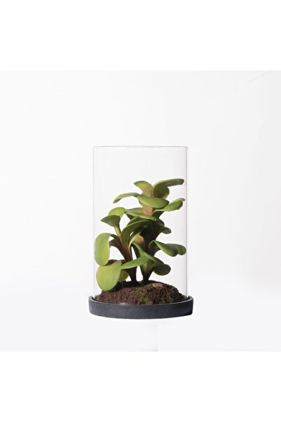 SUPERGREENS Planta artificiala Crassula Ovata 15,5 cm