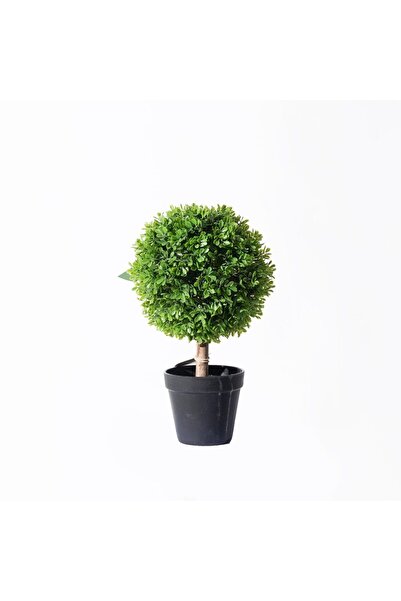 SUPERGREENS Bonsai artificial din buxus 35 cm