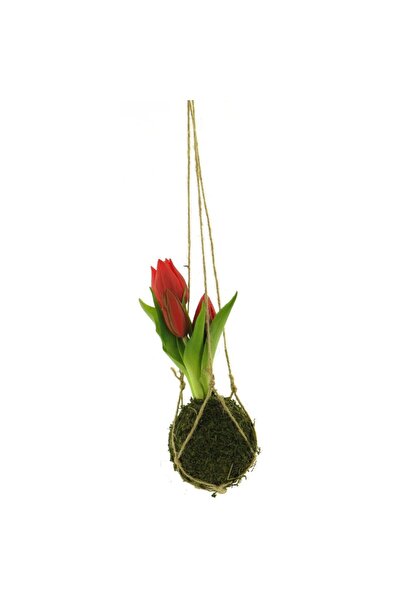SUPERGREENS Artificial Tulip Plant Red 22 cm