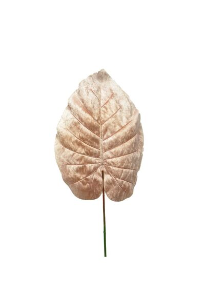 SUPERGREENS Plantă artificială filodendron roz 70 cm