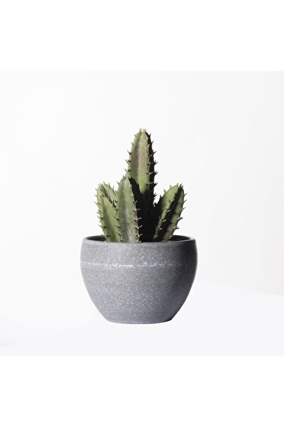 SUPERGREENS Lumânare artificială albastră cactus 17 cm