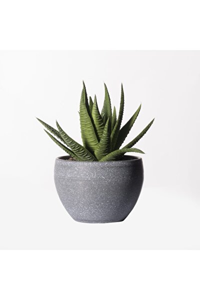 SUPERGREENS Plantă artificială Aloe Aristata 14cm