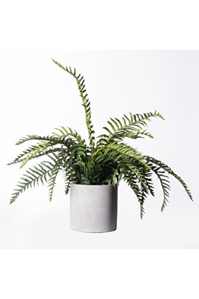 SUPERGREENS Plantă artificială struț verde 42cm