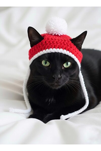 yucin قبعة قطة محبوكة باللون الأحمر والأخضر – قبعة قطة لطيفة مصنوعة يدويًا