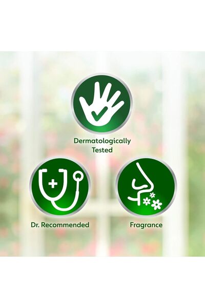 Dettol Nourish Antibacterial Handwash with Shea Butter and Honey - 400 ml