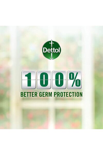 Dettol Nourish Antibacterial Handwash with Shea Butter and Honey - 400 ml