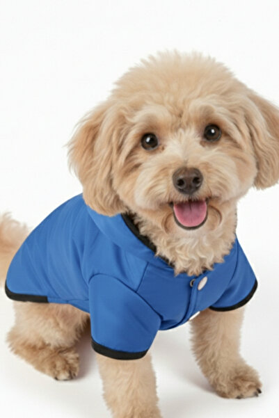 Salvia Dione Dog Raincoat Small Breed - Waterproof & Fleece Lined Coat - K Hooded Cold Weather Dog Clothing