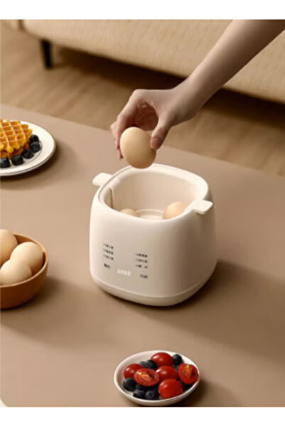 Generic Automatic Electric Egg Cooker, suitable for steaming eggs, making egg custard, and tea eggs