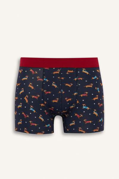 DeFacto Μπόξερ κανονικής εφαρμογής F9914AX25WN