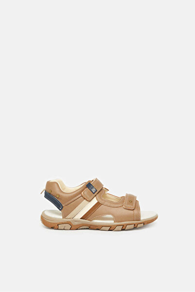 REDTAG Senior Boys Brown Sporty Sandals