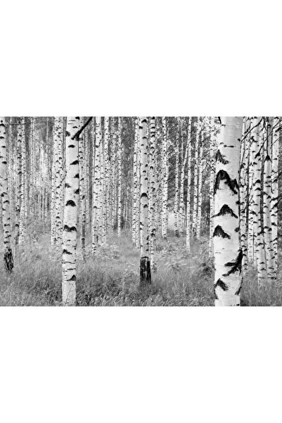 Komar XXL4-023 Landscape Photo Wallpaper