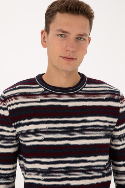 U.S. Polo Assn. Men's Plum Sweater 50308332-Vr074