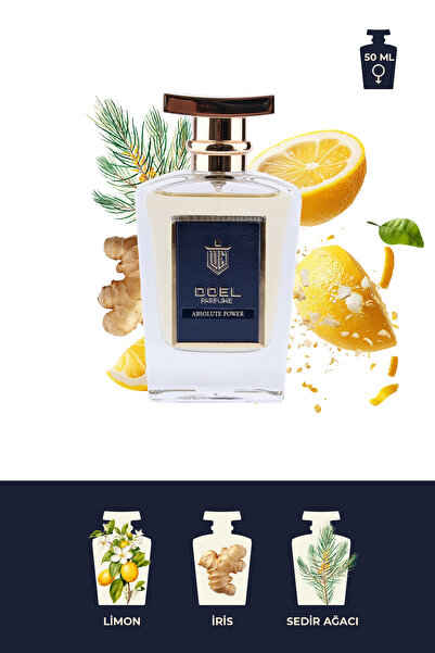 DOEL Absolute Power 50 ML Erkek Parfümü