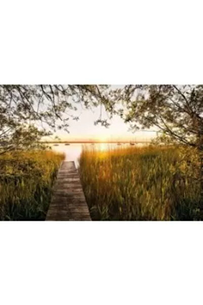 Komar Scenic Wallpaper XXL4-052