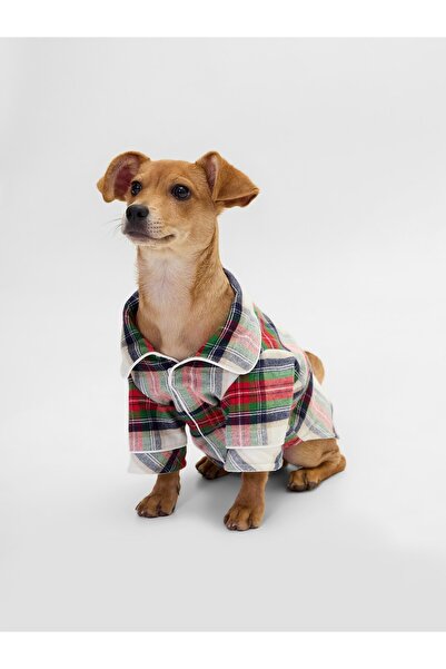 GAP Kadın Krem Flannel Köpek Kıyafeti