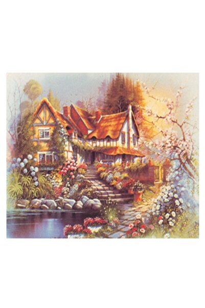 Rich سهلة النقل، أرضية صغيرة داكنة 5076 - 16×22