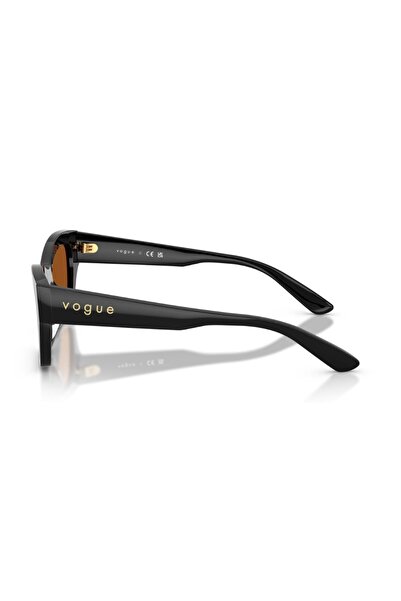 Vogue Vo 5658Su W44/73 53 Sunglasses