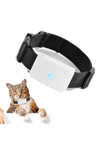GizMondo TK911 GPS Tracker for Pets - Real-time GPS/LBS, Anti-lost, Geofence, IP67 Waterproof, Free