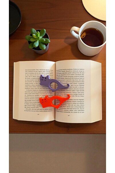 ZFRGROUP المرجعية تحت عنوان القط