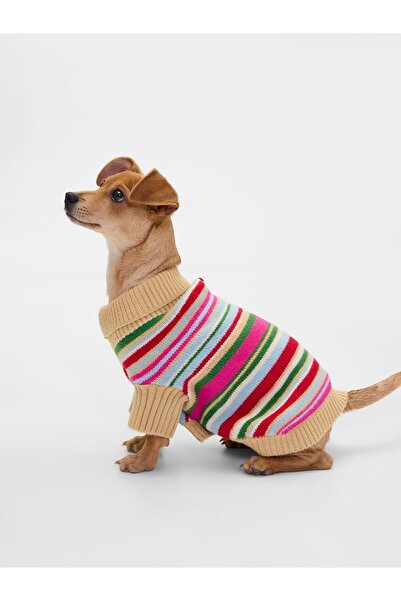 GAP Kadın Çok Renkli CashSoft Köpek Kıyafeti